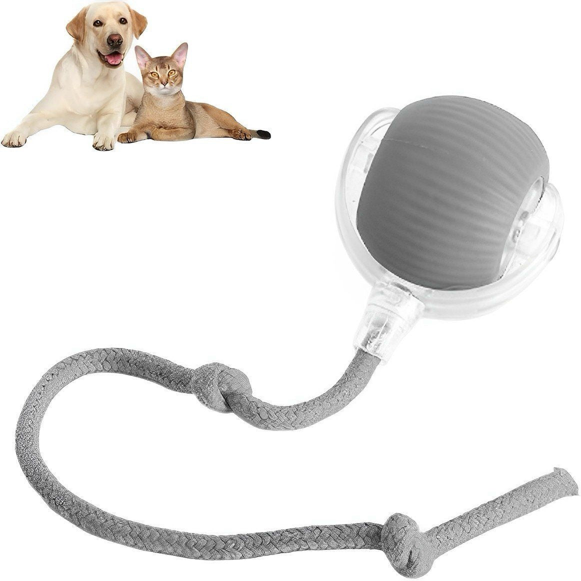 Jouet interactif intelligent pour animaux