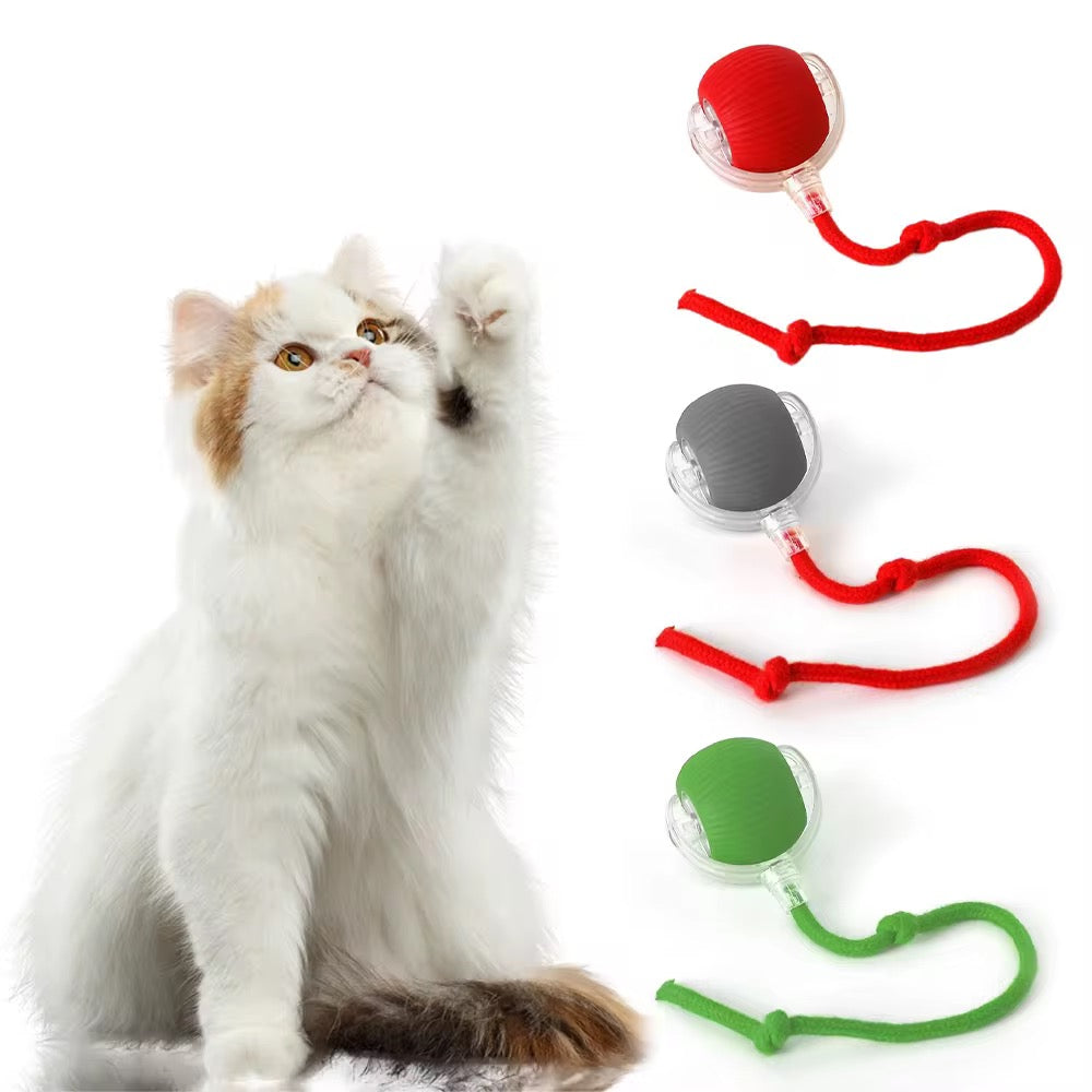 Jouet interactif intelligent pour animaux