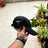 Casquette FULL BLACK. PRADA